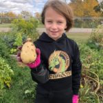Grade 2 Potatoes 3