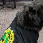 Tex_950x475_acf_cropped-1