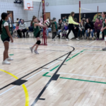 Volleyball
